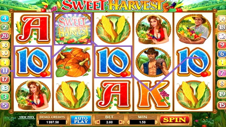 245 Free Spins right now at Red Bet Casino