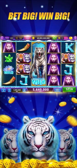 Eur 205 casino chip at Wild Slots Casino