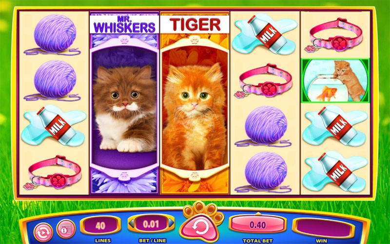 230 Free spins no deposit casino at Unique Casino