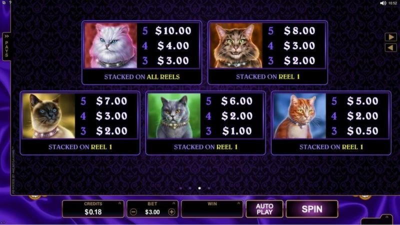975% Deposit Match Bonus at Joy Casino