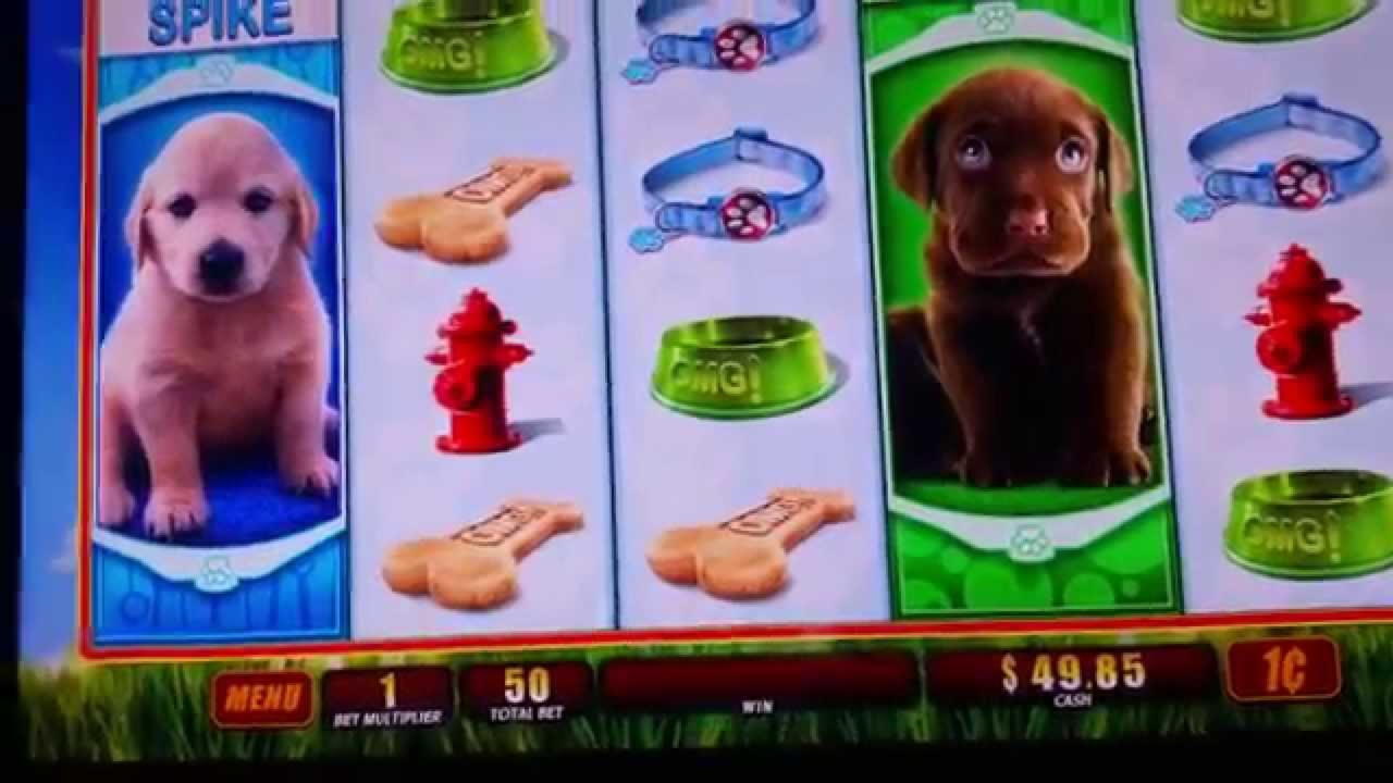 250 FREE Spins at Winner Casino