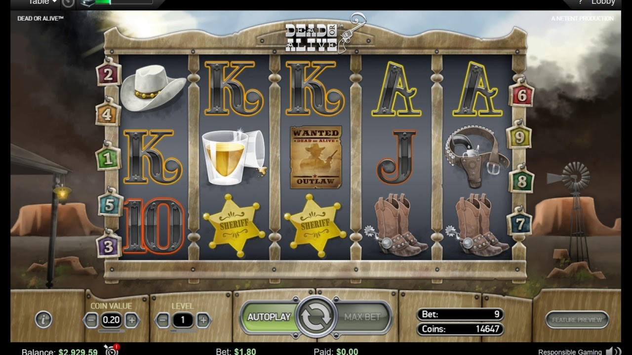€875 Free Casino Tournament at Slotty Dubai Casino