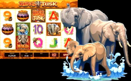 $1825 No Deposit at Slotty Dubai Casino