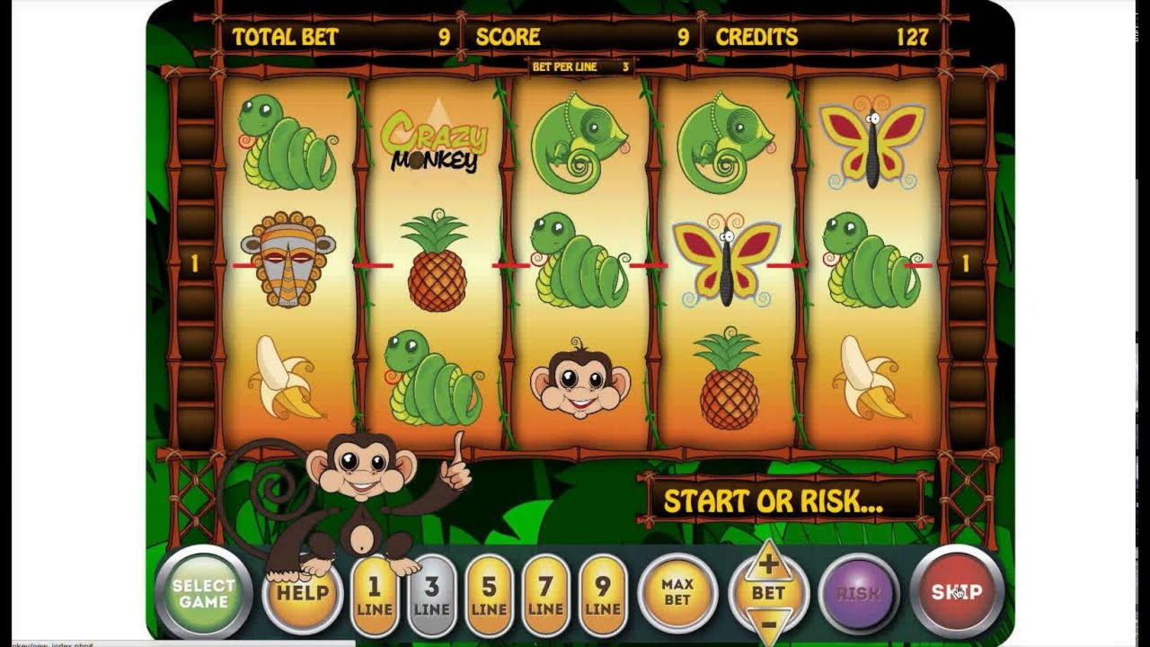 €365 No Deposit Bonus Casino at BGO Casino
