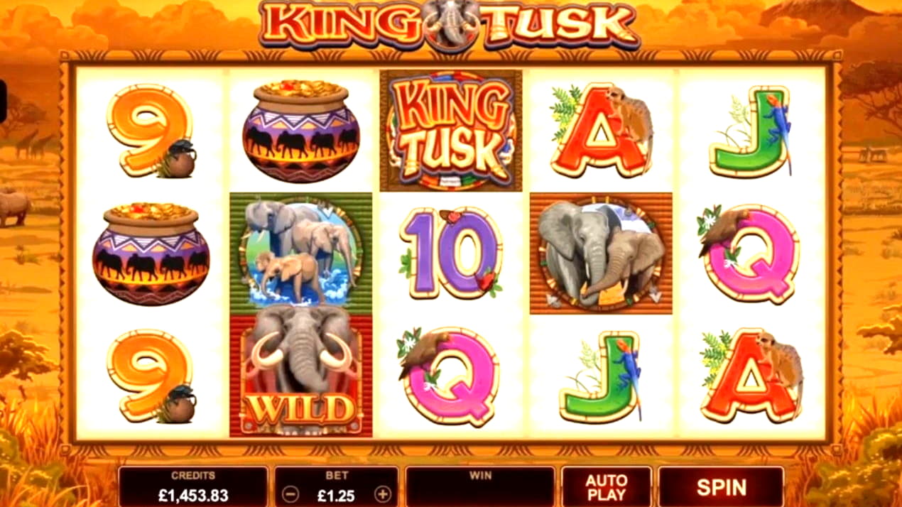 655% Match Bonus at Opti Bet Casino