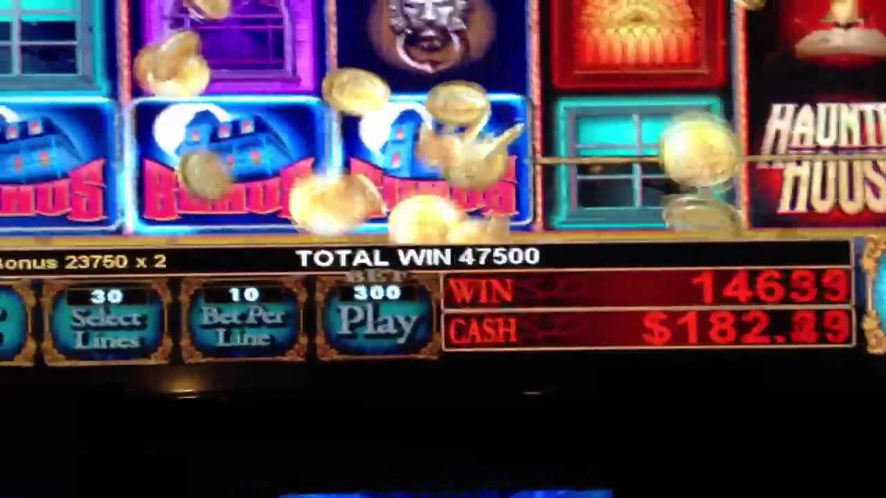 230 Free spins casino at Next Casino