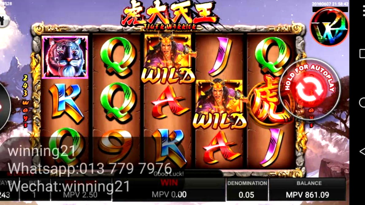 EURO 330 free casino chip at Wix Stars Casino