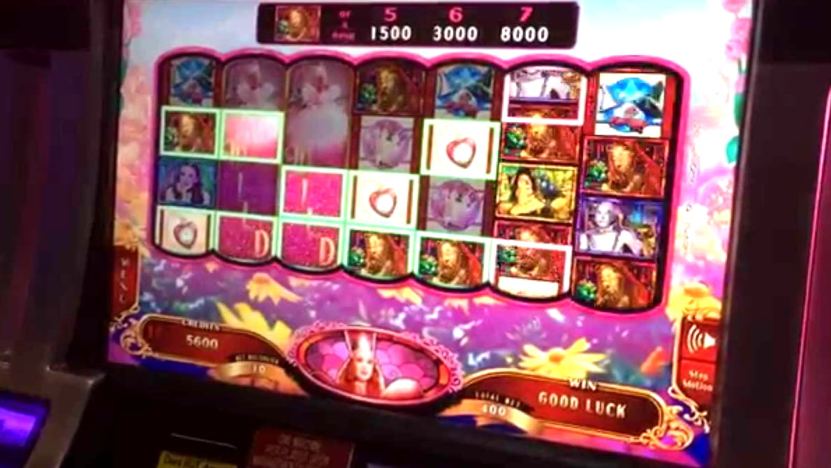 975% Deposit Match Bonus at CasiPlay Casino