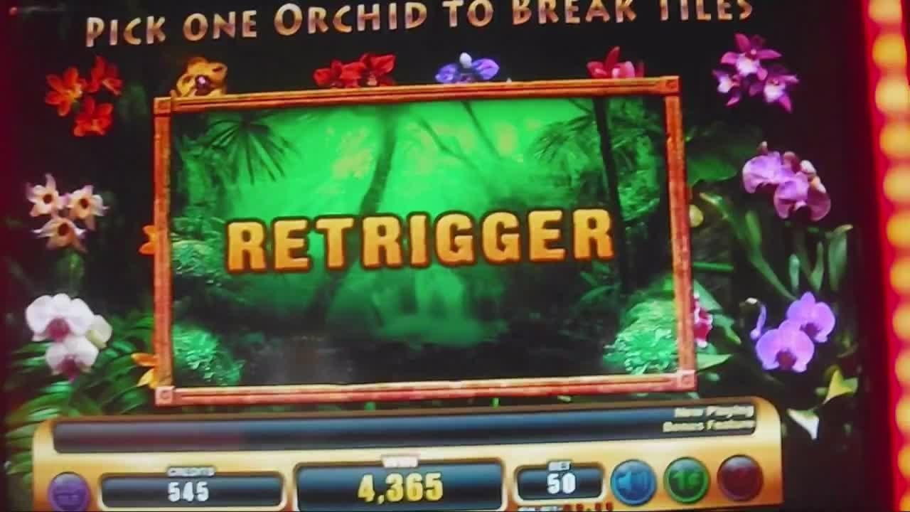 40 Loyal Free Spins! at Unique Casino