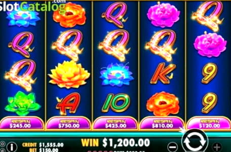 EURO 625 free chip at Wild Slots Casino