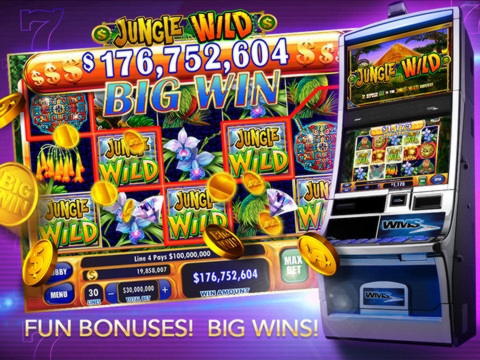 215 free spins casino at Winner Casino