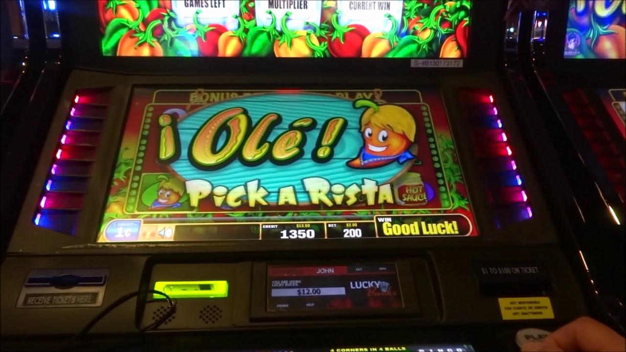 255% casino match bonus at Wild Slots Casino