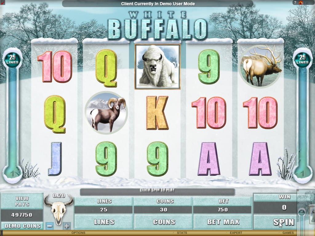 EURO 888 No deposit casino bonus at Big Dollar Casino