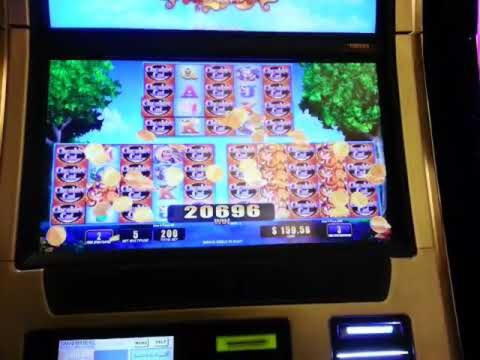 790% Deposit match bonus at Wix Stars Casino