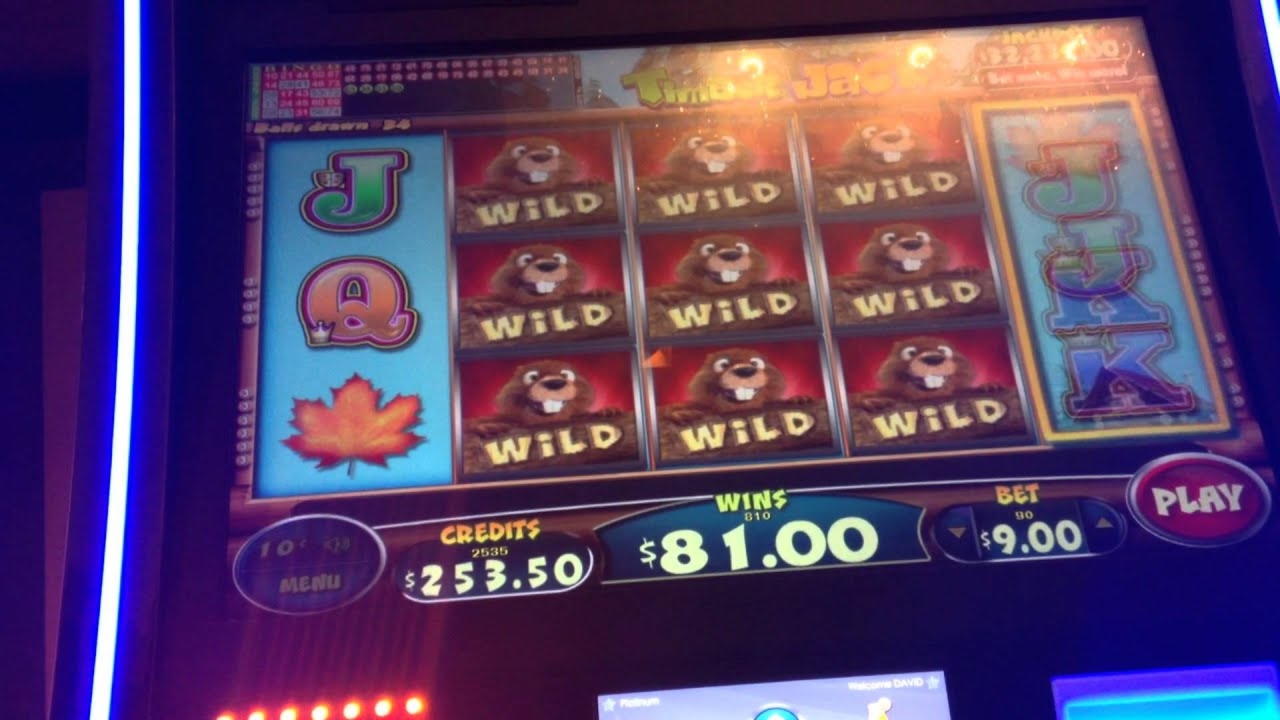 £3175 NO DEPOSIT BONUS CASINO at Red Ping Win Casino