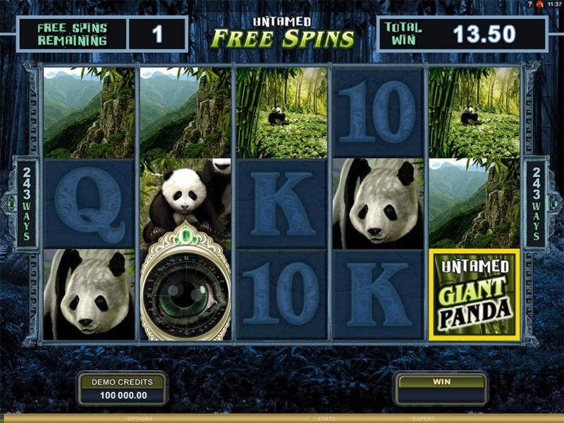 €4200 NO DEPOSIT BONUS CODE at Bonanza Game Casino