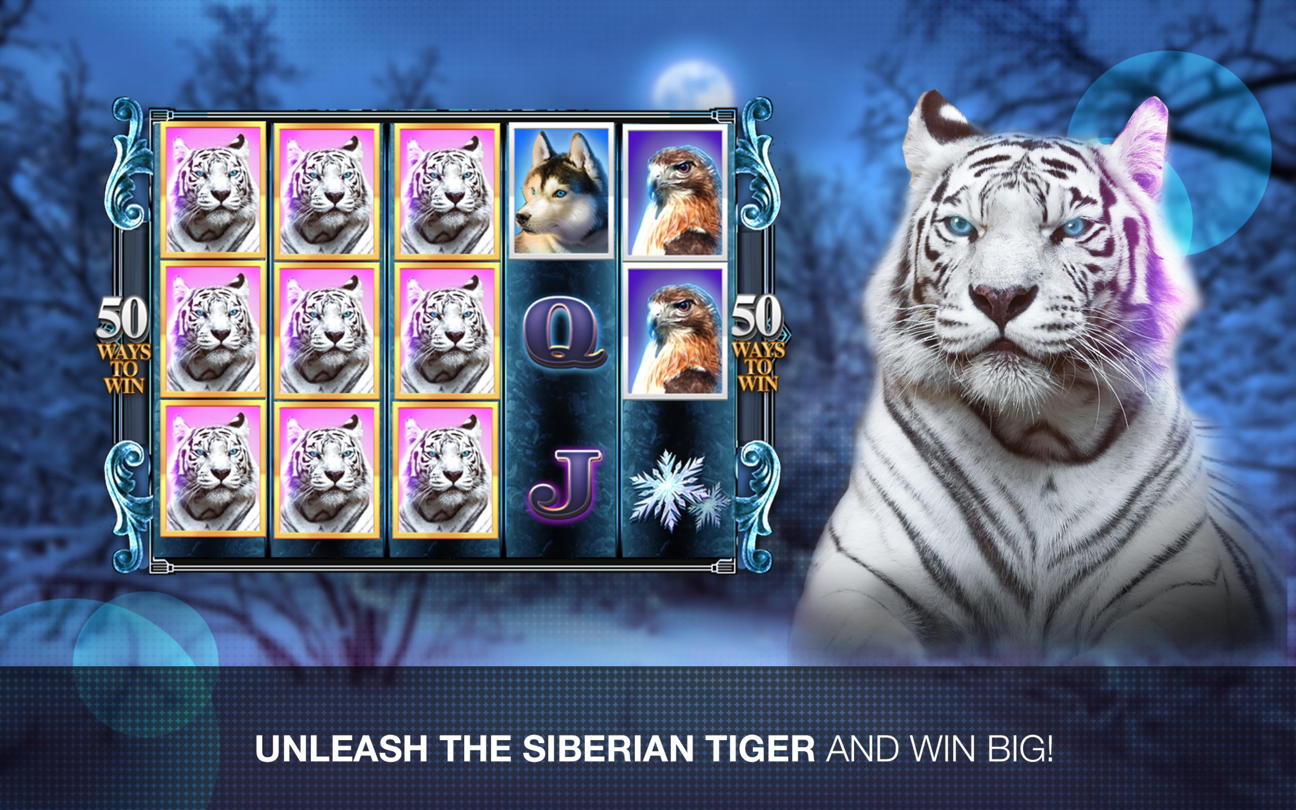 €480 Daily freeroll slot tournament at CasiPlay Casino