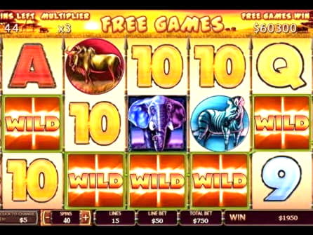 $955 Daily freeroll slot tournament at Next Casino