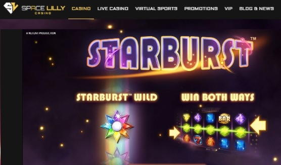 €355 NO DEPOSIT BONUS CODE at Net Bet Casino
