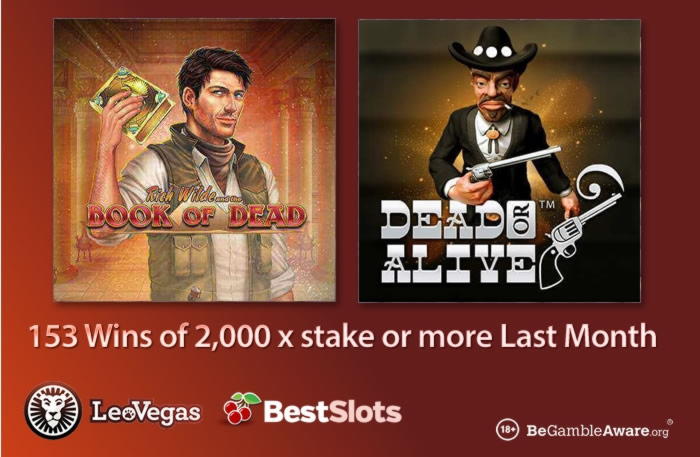 535% First Deposit Bonus at Net Bet Casino