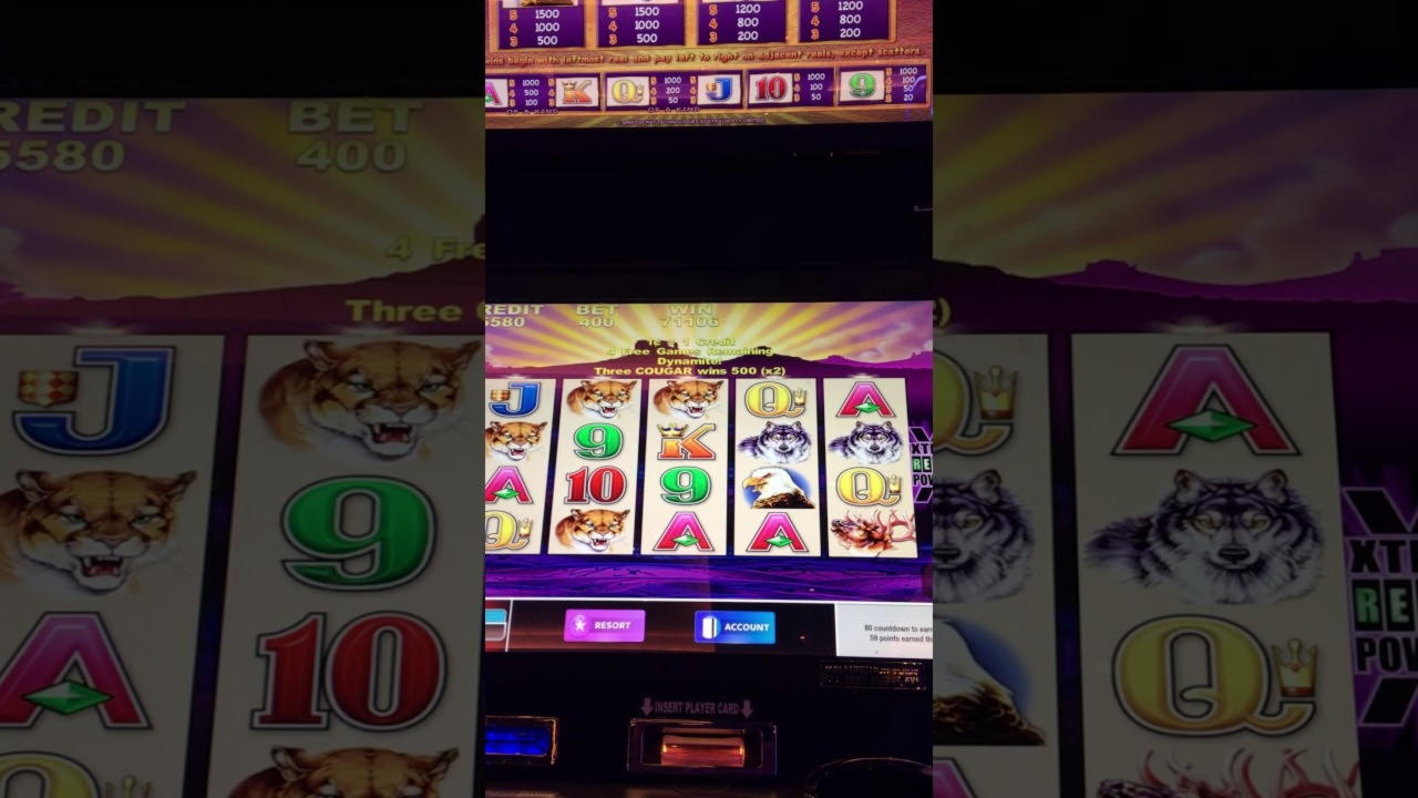 350% First deposit bonus at Cherry Casino