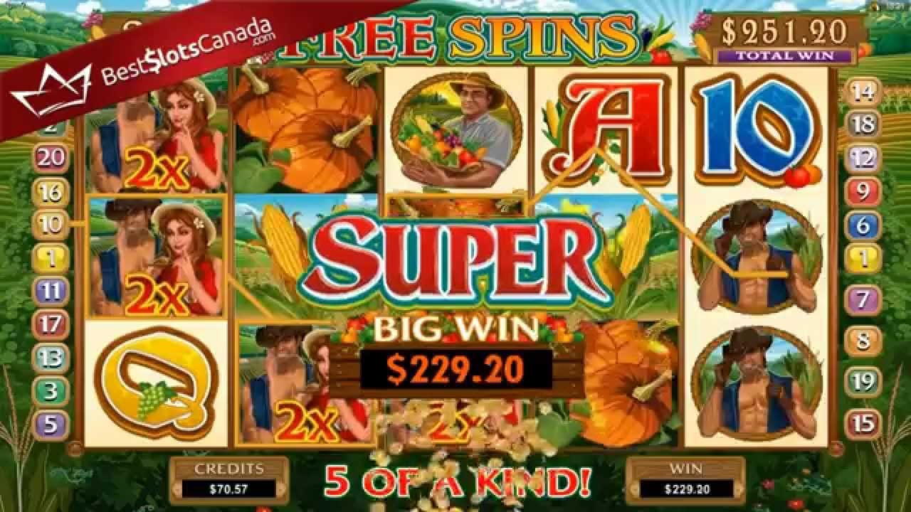 645% Welcome Bonus at Big Dollar Casino