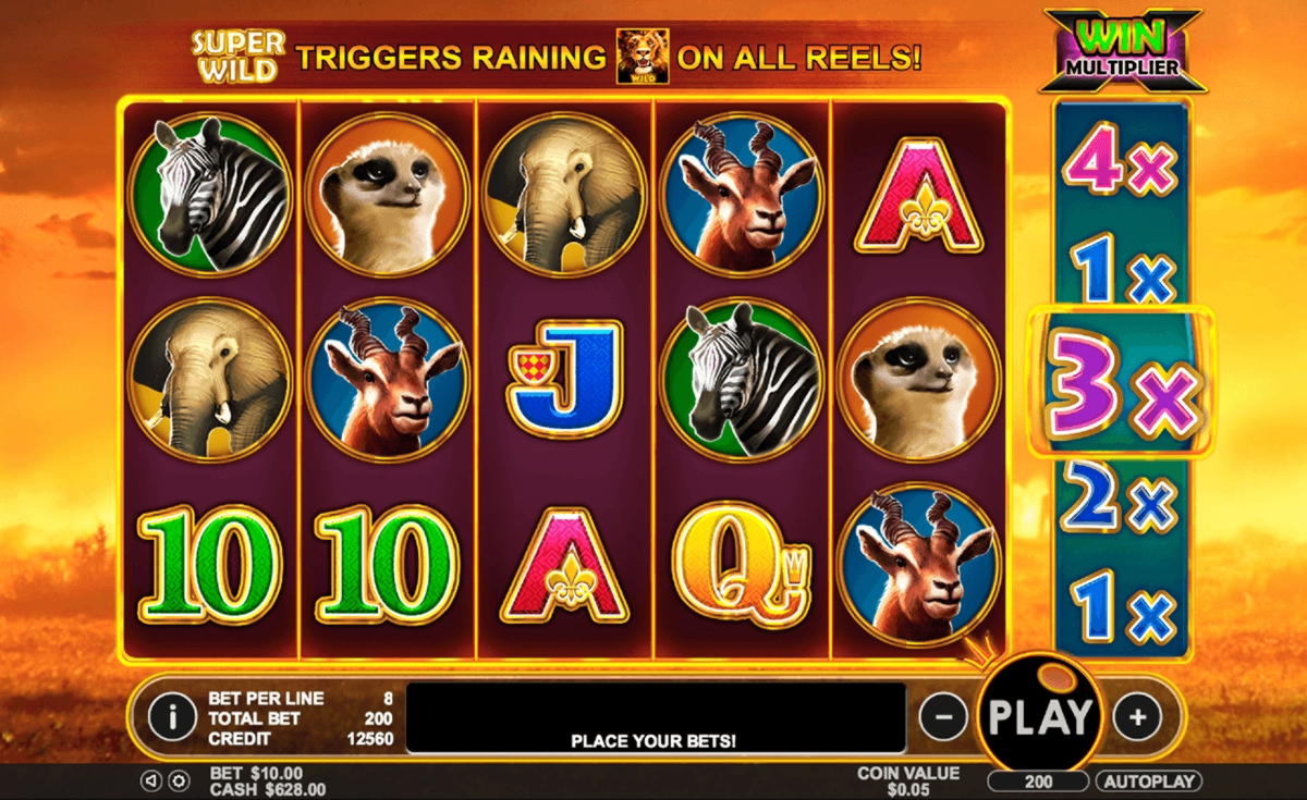 €515 Free Casino Tournament at Net Bet Casino