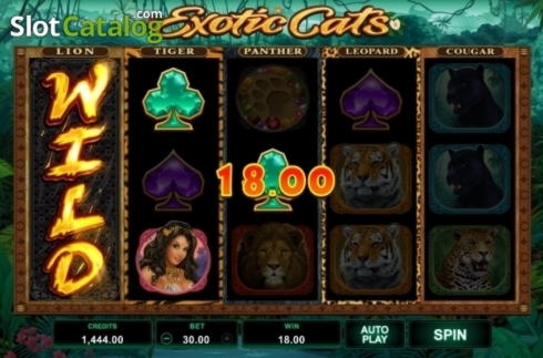 180 free casino spins at Jackpot City Casino