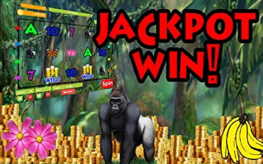 25 Free spins no deposit at Next Casino