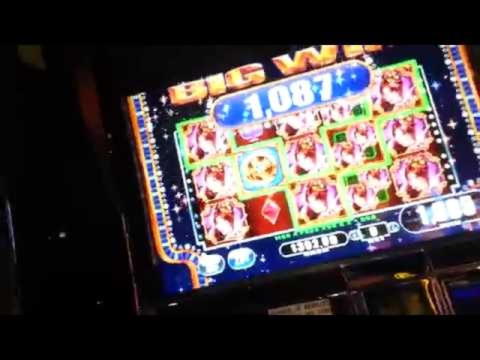 $365 no deposit bonus at CasiPlay Casino