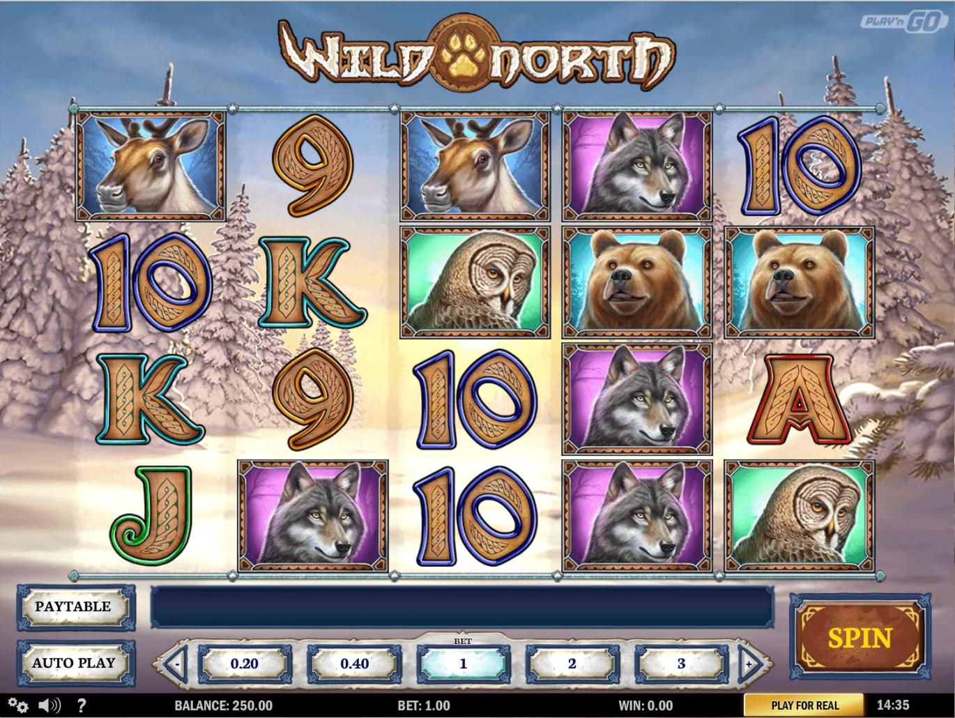 EUR 165 Online Casino Tournament at CasiPlay Casino