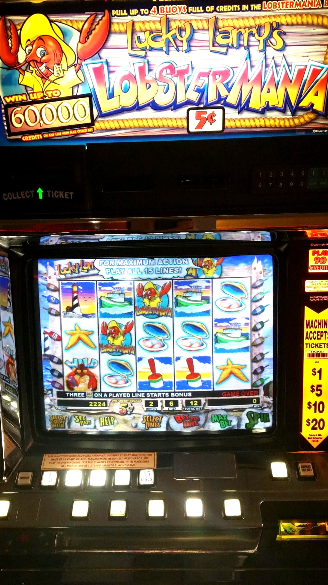 305% Match Bonus at Oshi Casino