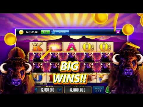 20 Free Spins no deposit at Winner Casino
