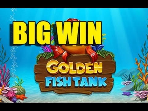 55% Best Signup Bonus Casino at Next Casino