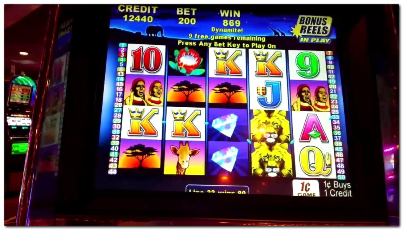 100 free spins casino at Net Bet Casino