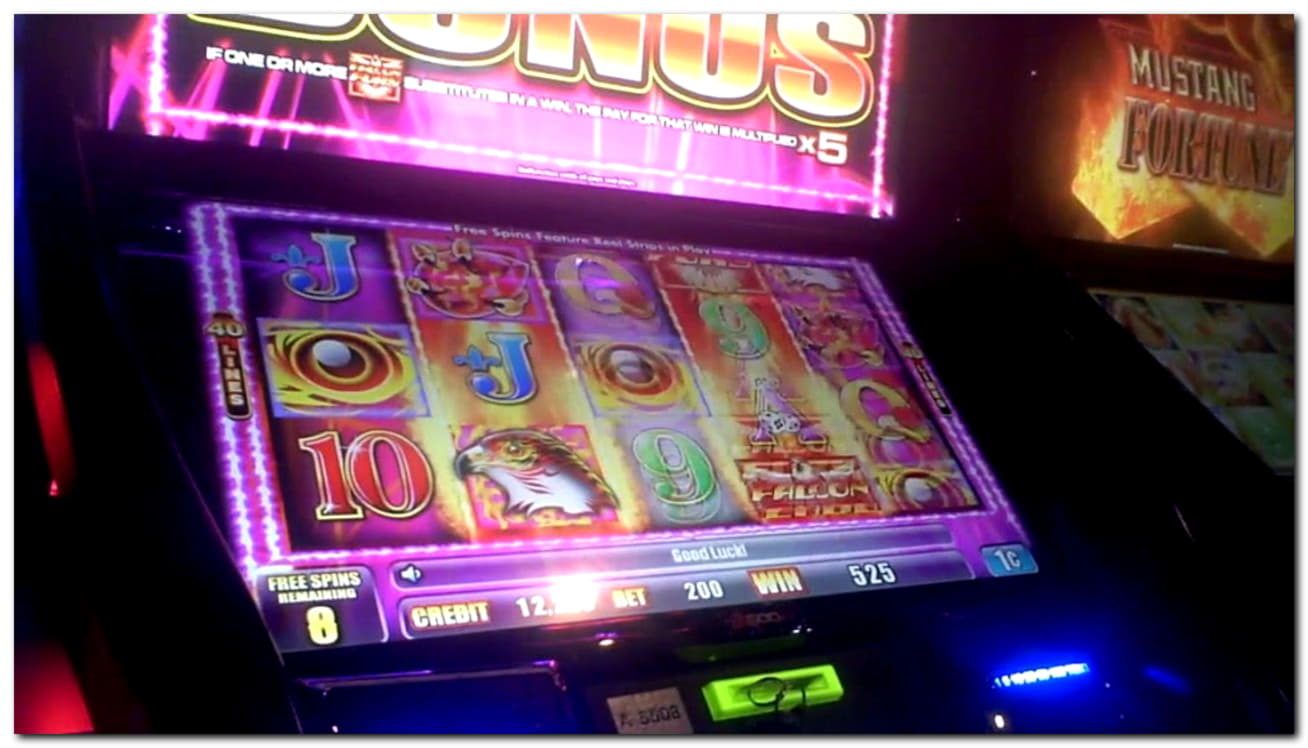 80 FREE SPINS at Next Casino