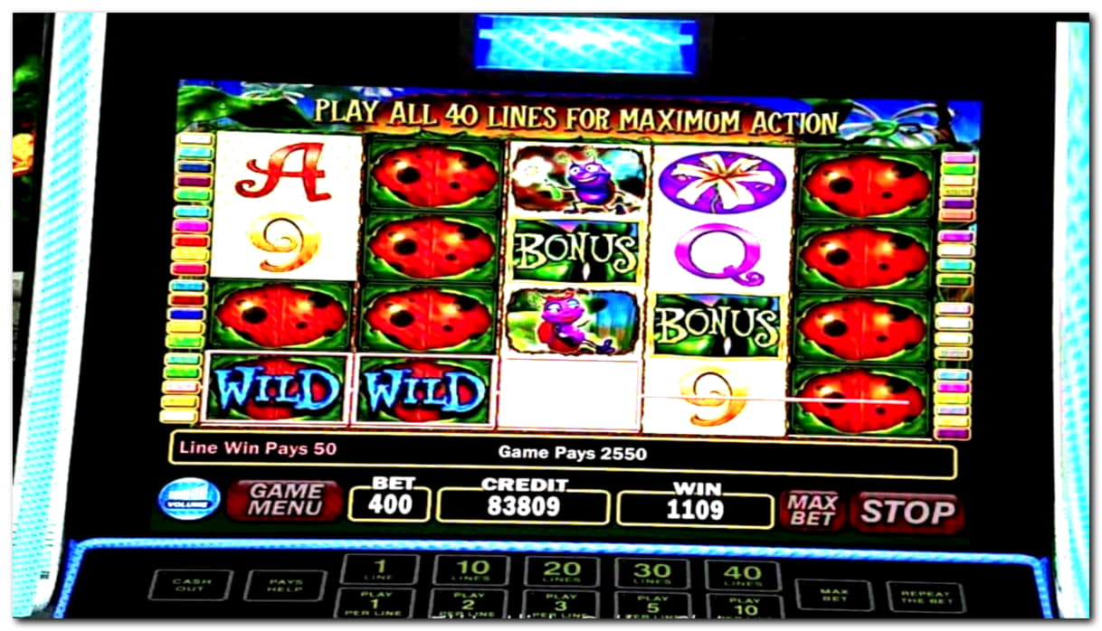 £4815 No deposit bonus casino at CasiPlay Casino