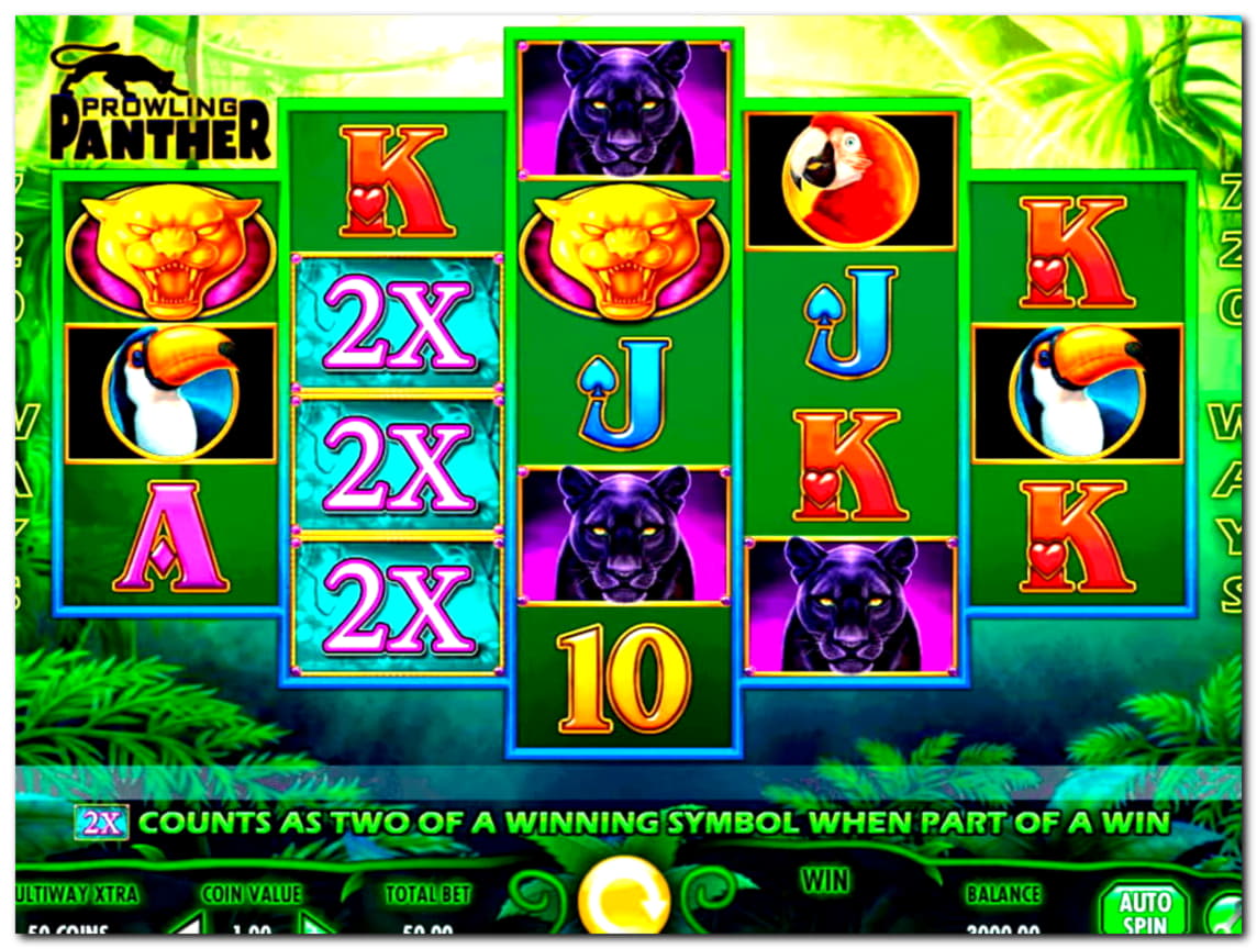 245 free spins at Net Bet Casino
