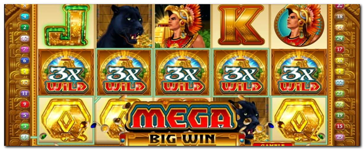 295 Free spins no deposit casino at Big Dollar Casino