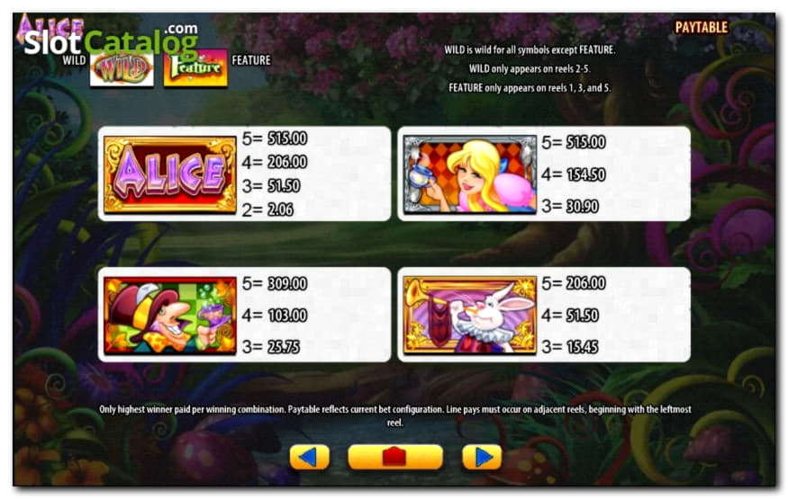 €4210 no deposit at Winner Casino