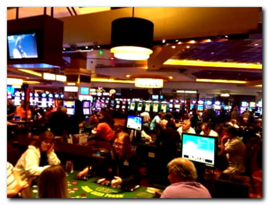 EURO 3770 no deposit casino bonus at Wild Slots Casino