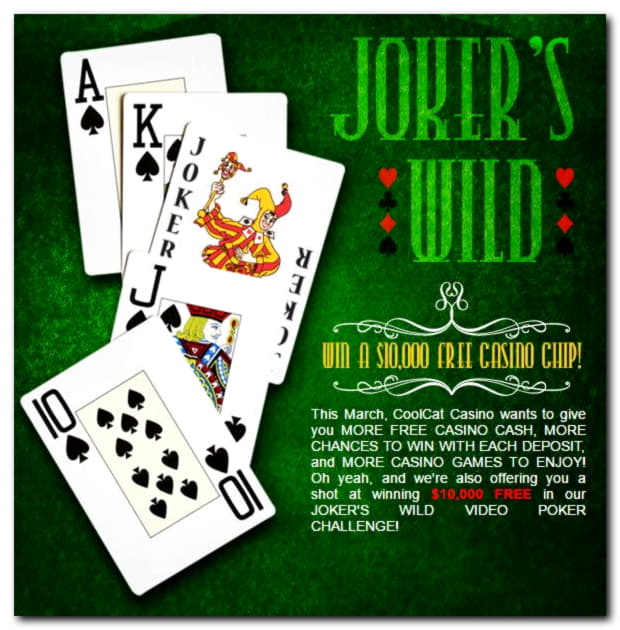 EUR 3355 No deposit at Slotty Dubai Casino