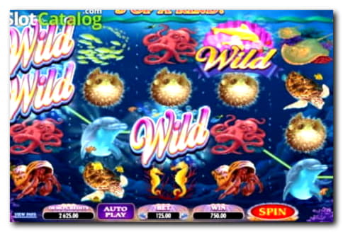 ﻿$2090 NO DEPOSIT BONUS at Red Ping Win Casino