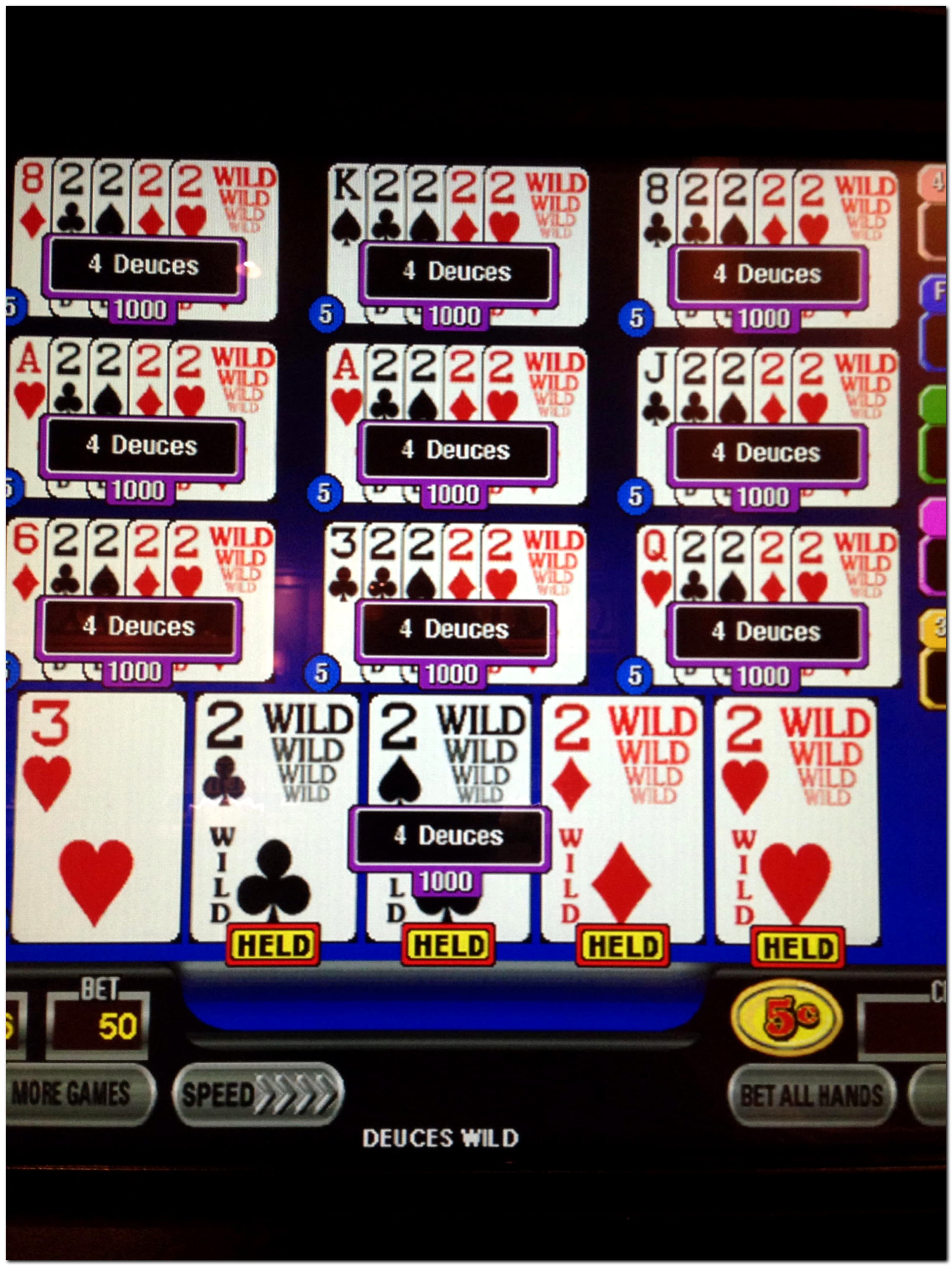 EURO 2970 No deposit bonus casino at Net Bet Casino