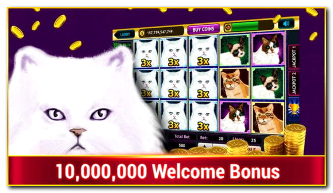75 Free spins no deposit at Wild Slots Casino