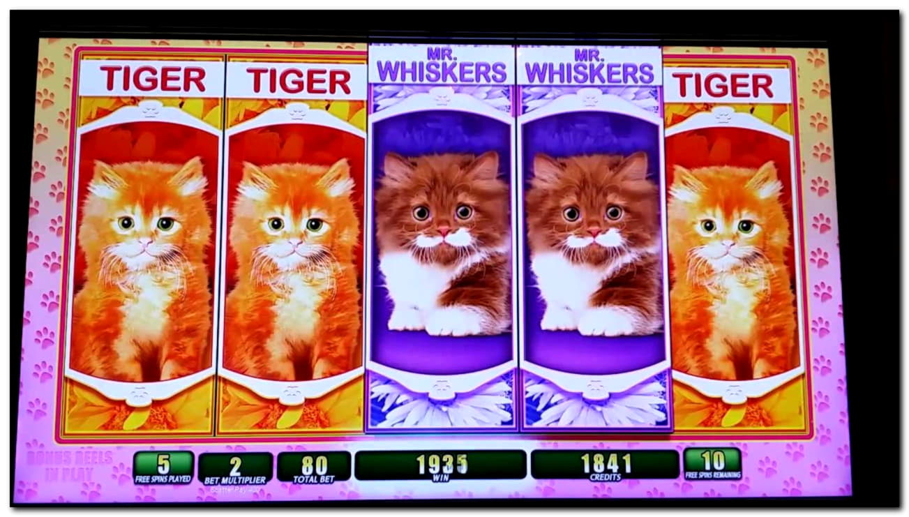﻿$635 Free Casino Tournament at Wild Slots Casino