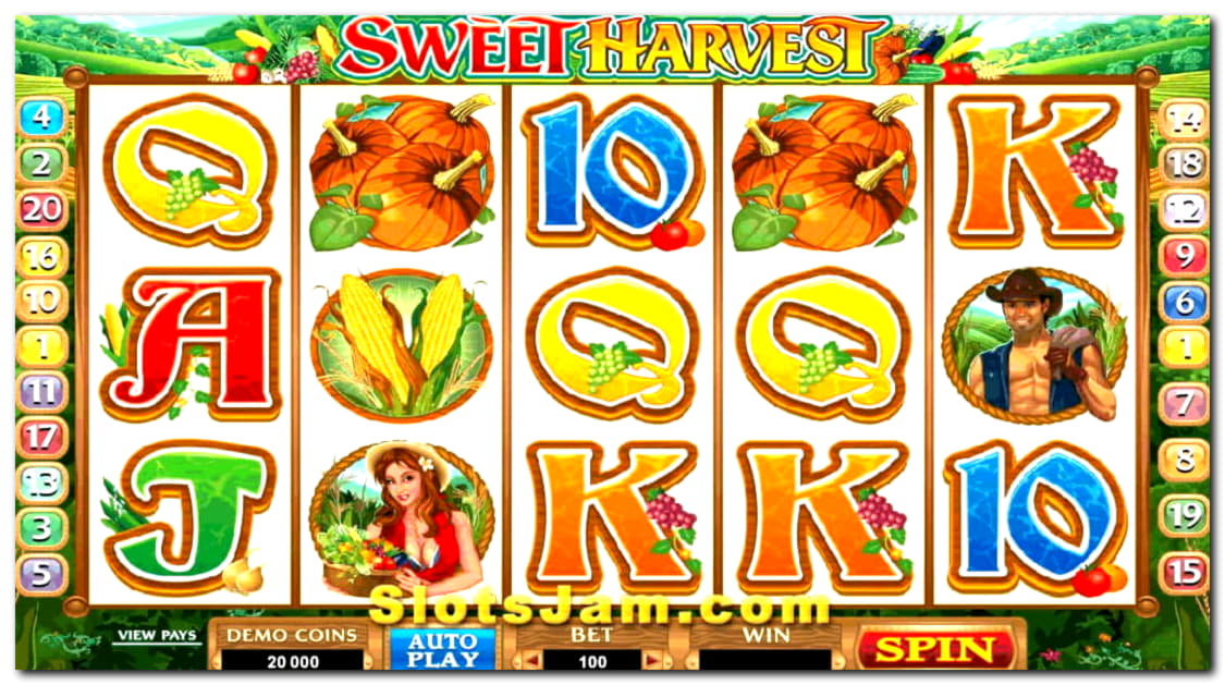100 Free Casino Spins at Slotty Dubai Casino