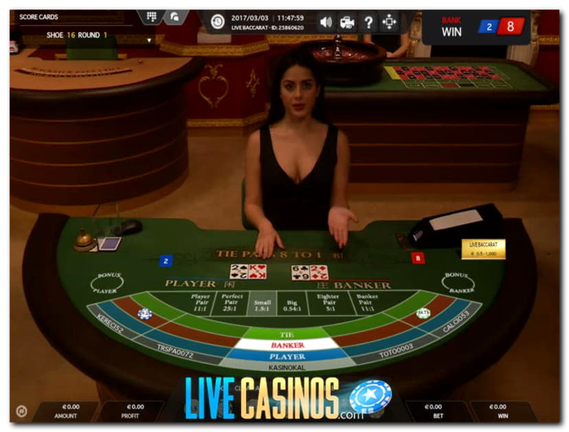 165 free spins casino at Red Bet Casino