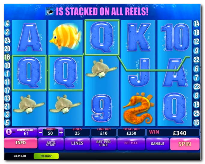 100% Match Bonus at Big Dollar Casino