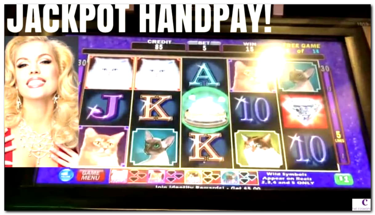 Eur 1830 no deposit bonus code at Cherry Casino